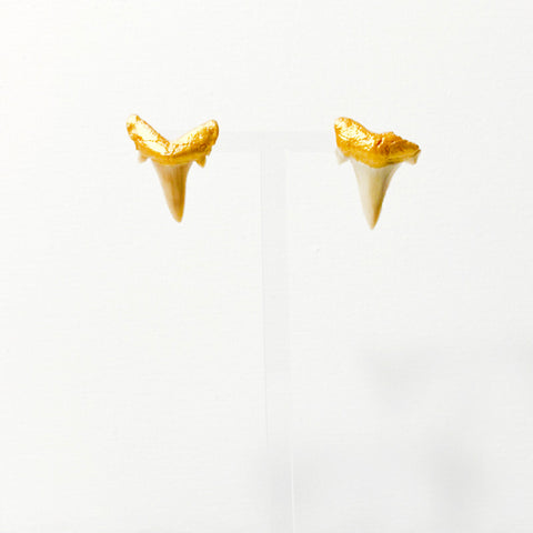 Real shark teeth with gold painted gums on stud earrings.